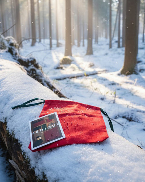 Red bag and book on a snow-covered log in a forest