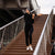 Damen Merino Stirnband Perfektes Grau 
